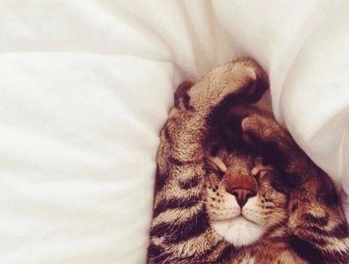 10 Ways To Cure A Hangover