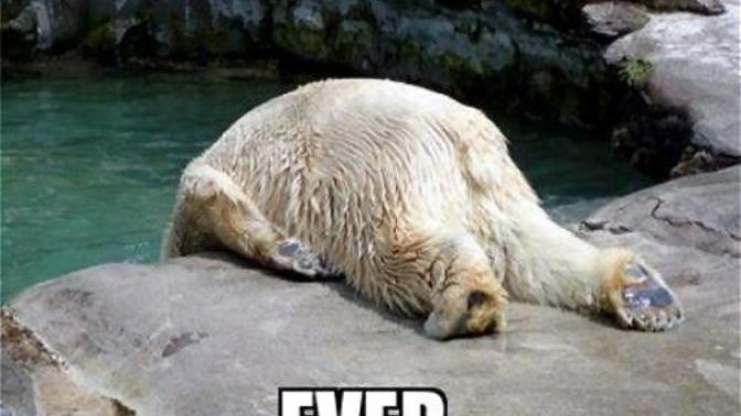 10 Ways To Cure A Hangover