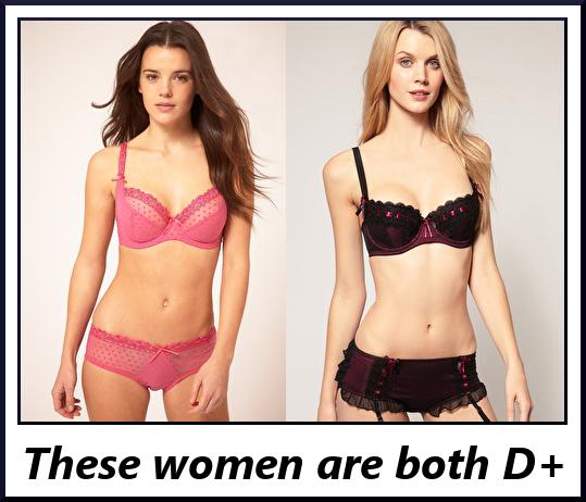 How Bra Sizing Works