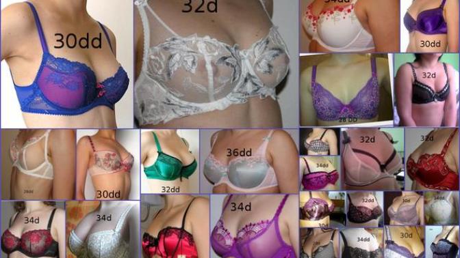 How Bra Sizing Works