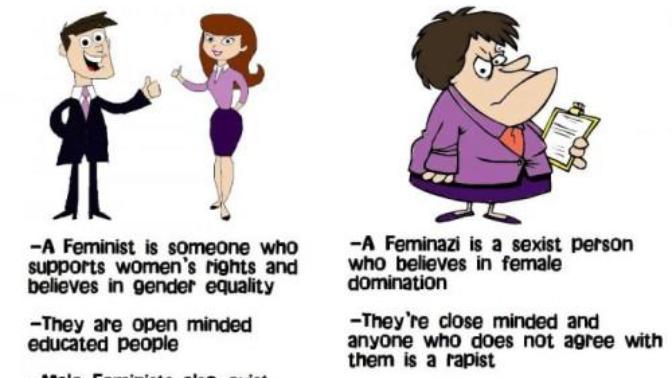 Feminism and FemiNAZI