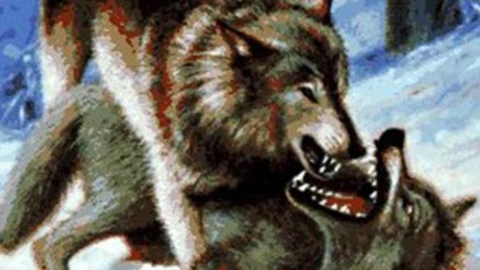 Childhood Books: A few of my favourites