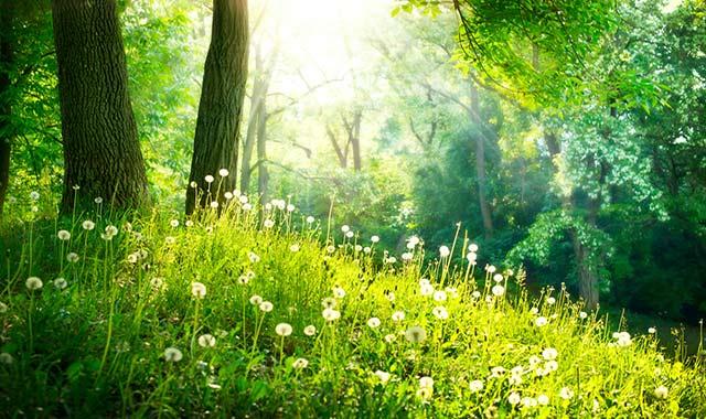 Colours and their Meanings