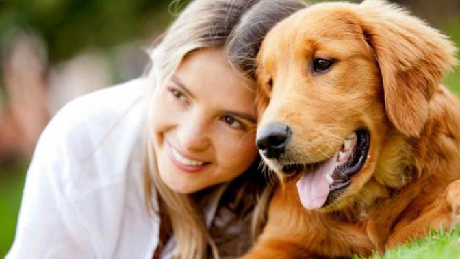 The Benefits of Pets and Animal-Assisted Therapy