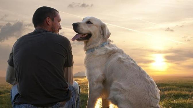 10 Reasons Dogs Are Better Than People