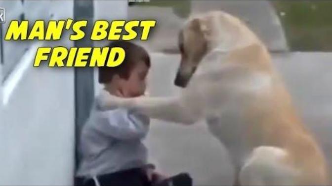 Why Men Need Dogs
