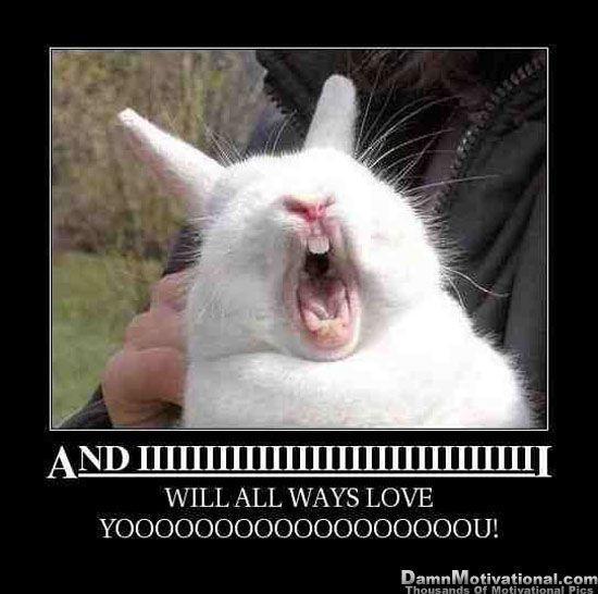 10 Pictures to brighten up your day - Part 2