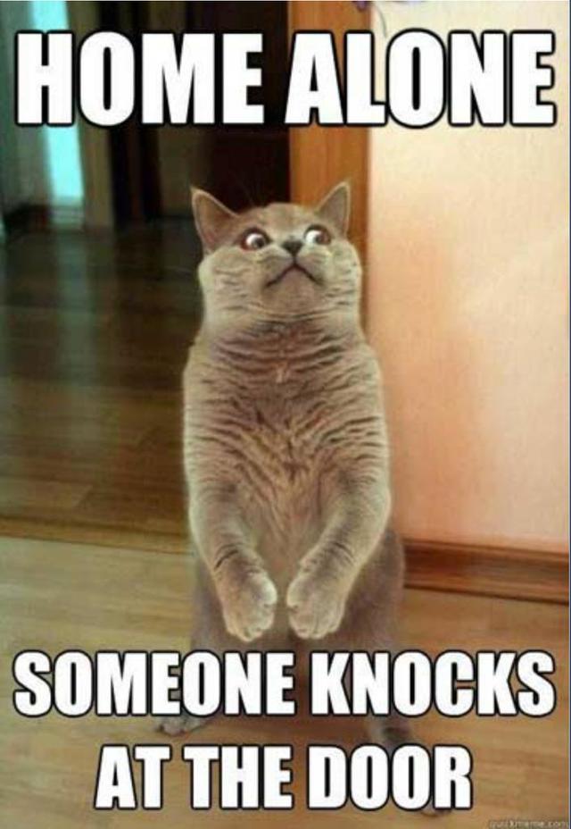 10 Pictures to brighten up your day - Part 2