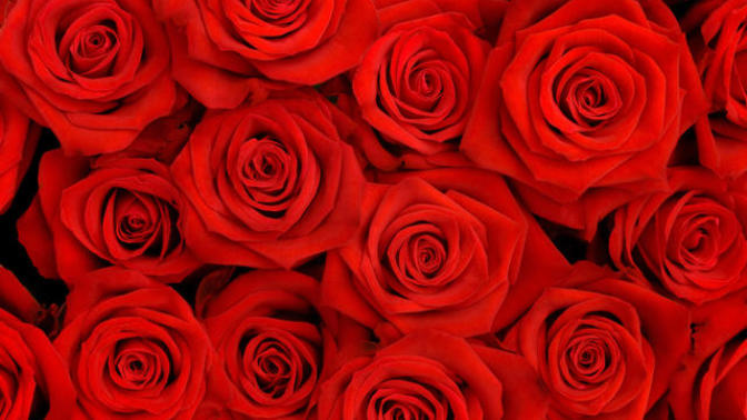 Flowers - significance by colour
