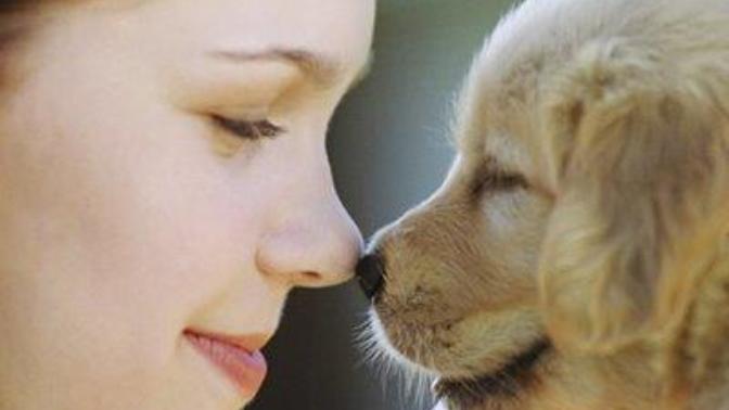 The Benefits of Owning a Pet