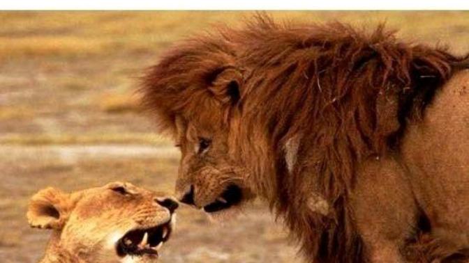 10 Reasons Why Fighting Is Good For Your Relationship
