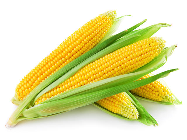 Corn: Vegetable or Grain?