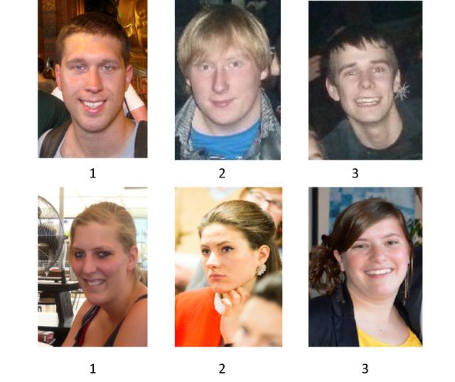 Physical attractiveness and dating choice, A test of the matching hypothesis: can you match these people?