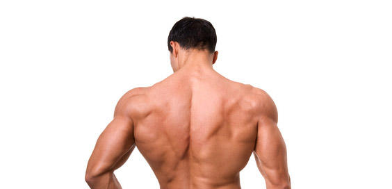 Chest or Lats? Which do you like more?