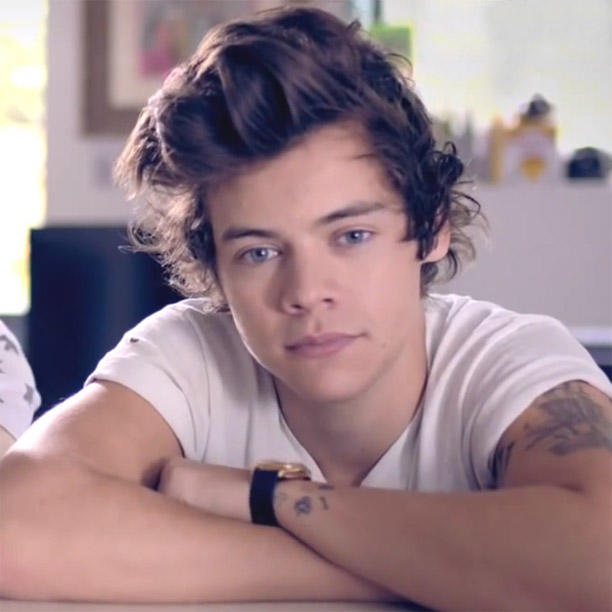Girls, Rate Harry Styles?
