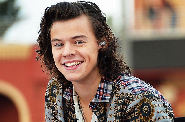 Girls, Rate Harry Styles?