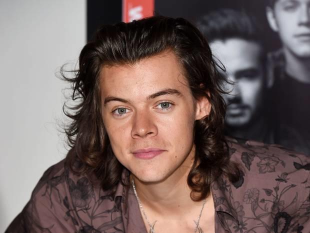Girls, Rate Harry Styles?