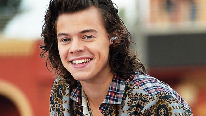 Girls, Rate Harry Styles?
