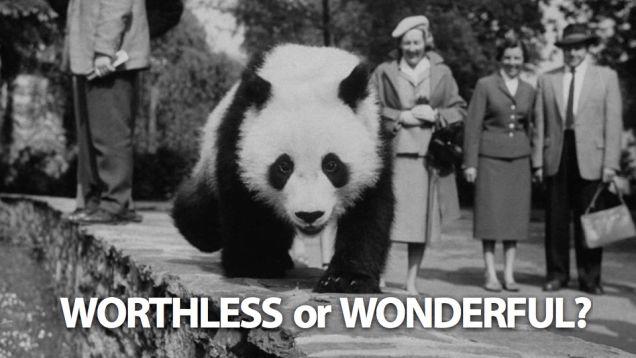 Should we let pandas go extinct?