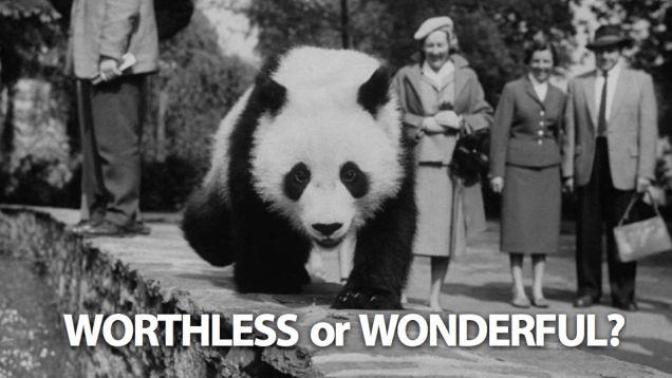 Should we let pandas go extinct?