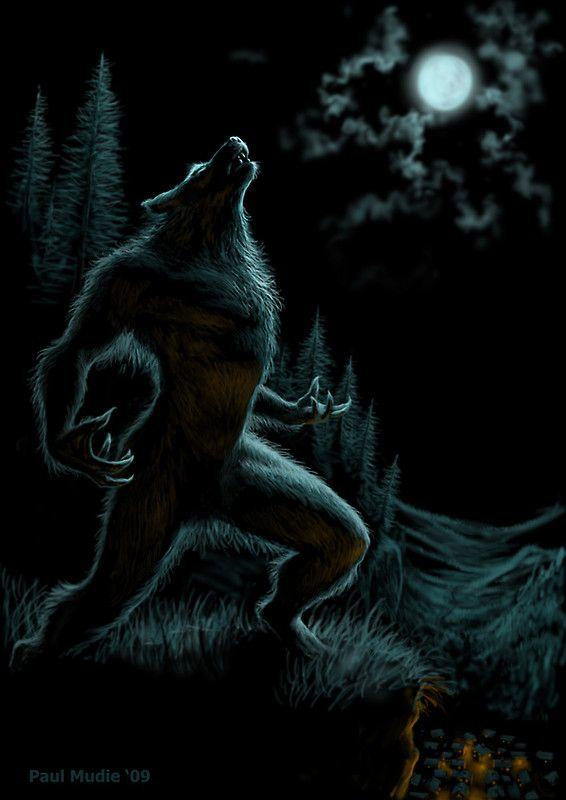 Zombie, Vampire, Werewolve Which one is your favorite?