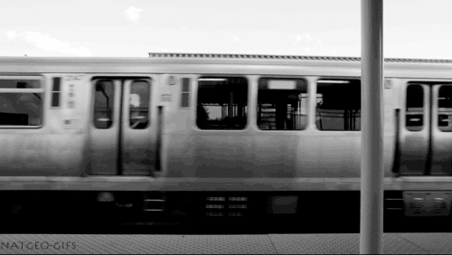 Do you have a traveling phobia when it comes to any of the following transportation?