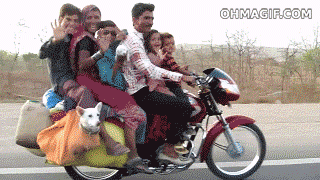 Do you have a traveling phobia when it comes to any of the following transportation?