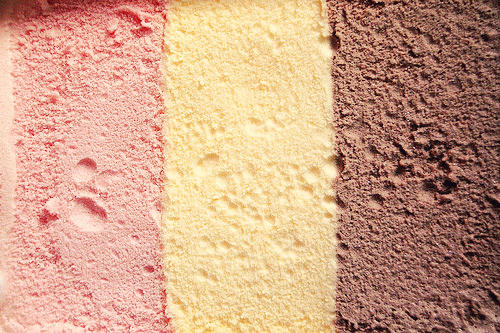 The Great Basic Ice Cream Flavor Debate: Chocolate vs Vanilla vs Strawberry?