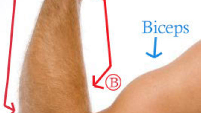 What is this part of arm called?