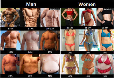 Is this the best way to go from 30% body fat to 20% body fat?