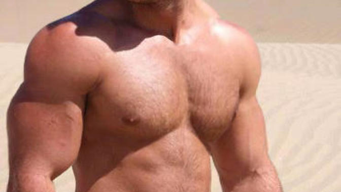 Girls, do you like big muscular dudes or slimmer leaner dudes (pics included)?