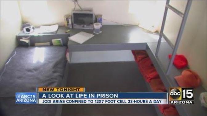 How do you feel about about dangerous felons like Jodi Arias and many other notorious big name criminals receiving special treatment in prison?