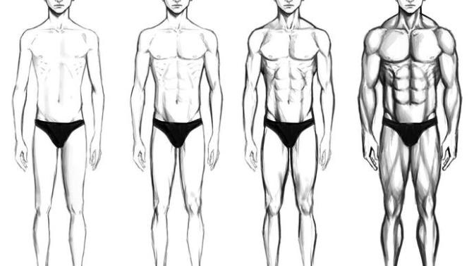 Best male body type?