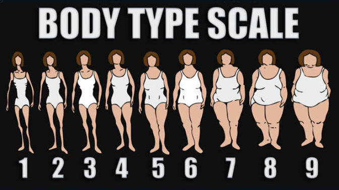 Guys, What body type do you prefer?