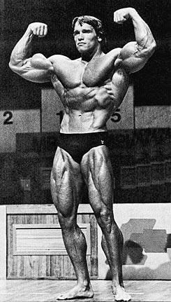 What do you think of old school bodybuilding physiques (pics)?