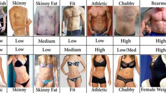 What body type out of these pics do you find most attractive on the opposite sex?