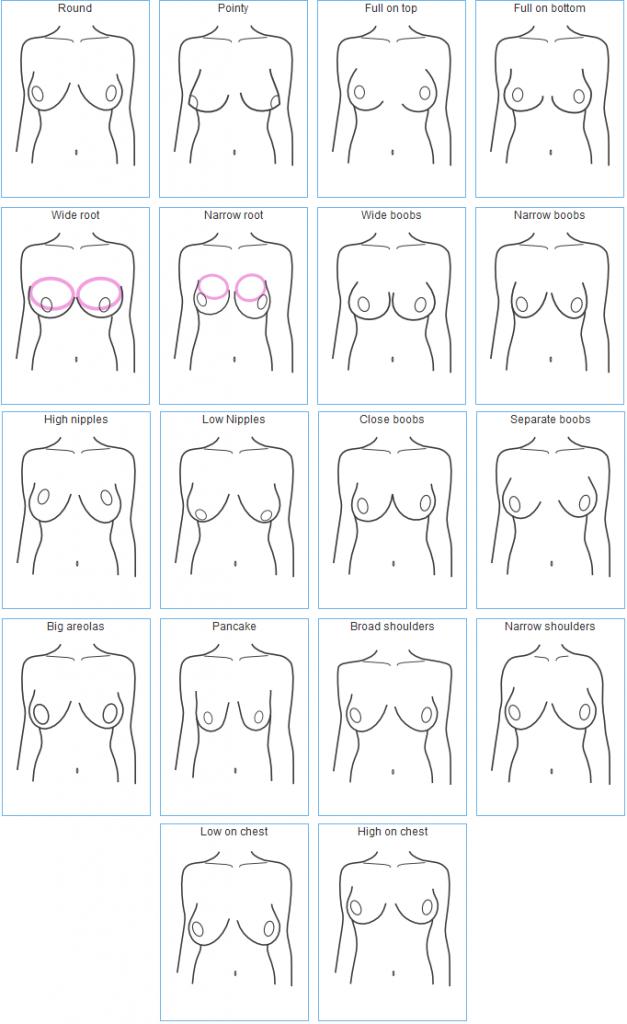 boobs shapes