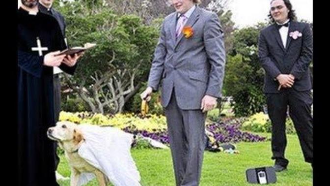 Should marriage to animals be allowed now that there is equality in marriage?