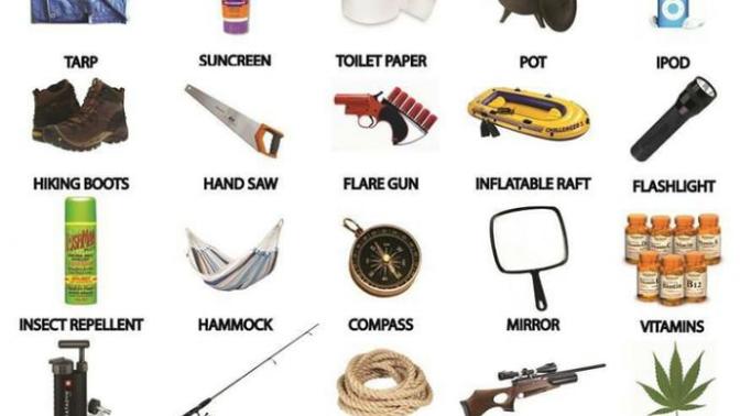 You are stranded on a deserted island. You can only choose 4 of the following items to have there with you. Which 4 do you choose?