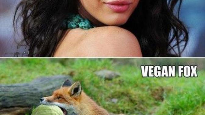 Megan Fox or Vegan Fox?