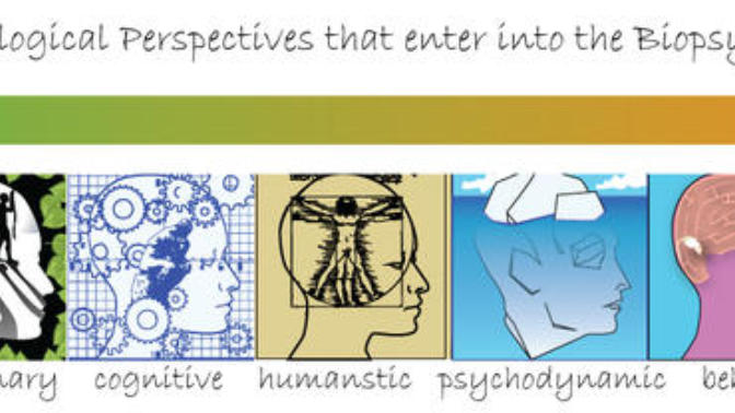 Which is more important, nature or nurture? religion vs science?