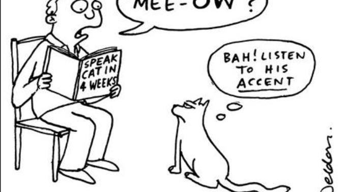 Favourite Accents?