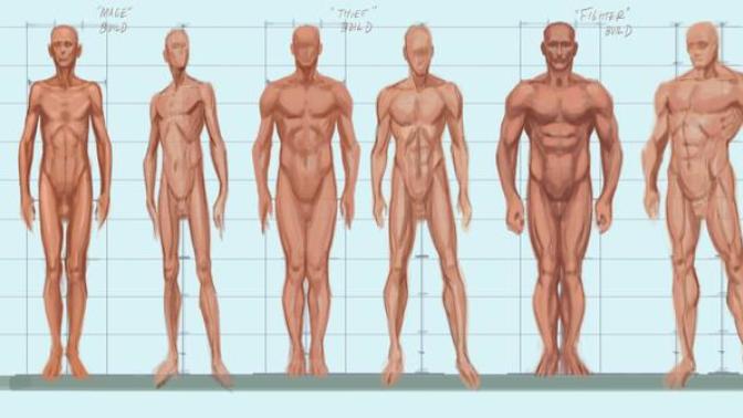 Girls, which of these body types you prefer in a man?