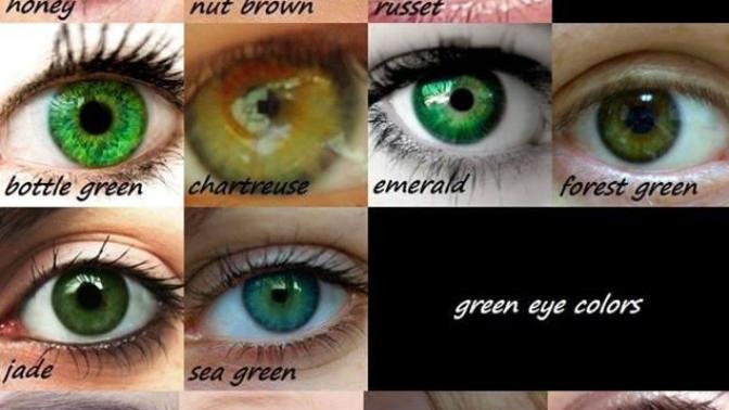 What color are your eyes?