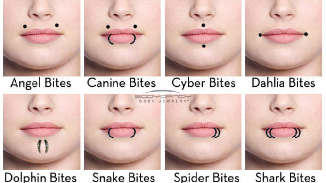 Guys, What are guys opinion on snakebites or one spider bite XD?