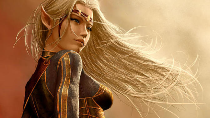 Why don't people like Elves?