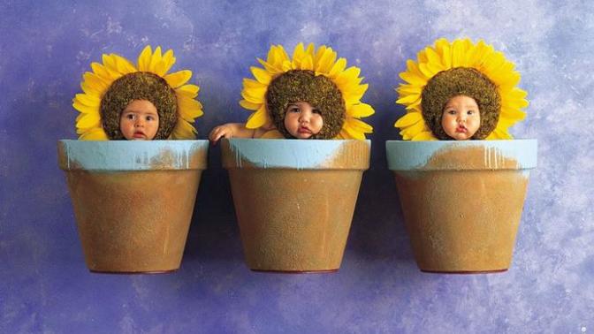 Ok, whose parents had them photographed in plant pots, animal costumes or various species of flora? Also, why can't an adult pull it off?