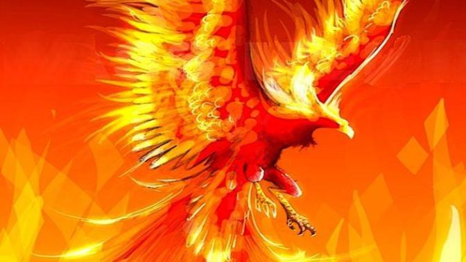 What kind of wings do you have (QUIZ)?