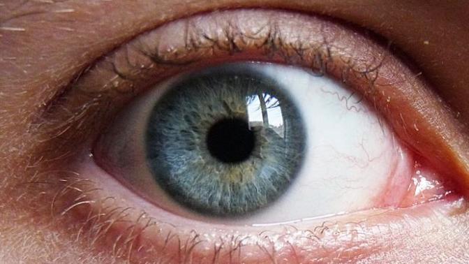 What color are my eyes (Please read full description)?