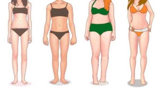 Guys, Which body type do you find most attractive?